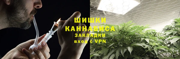 PSILOCYBIN Богданович