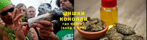 PSILOCYBIN Богданович